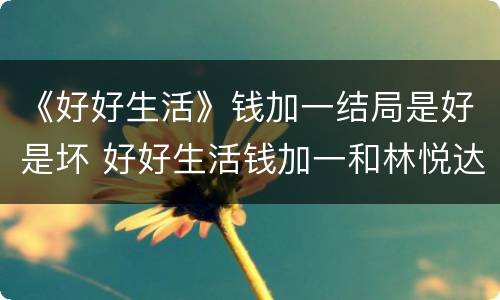 《好好生活》钱加一结局是好是坏 好好生活钱加一和林悦达结局