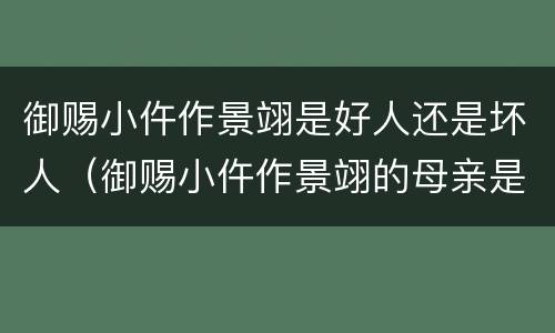 御赐小仵作景翊是好人还是坏人（御赐小仵作景翊的母亲是好人吗）