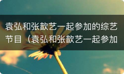 袁弘和张歆艺一起参加的综艺节目（袁弘和张歆艺一起参加的综艺节目有哪些）