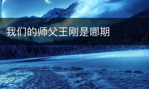 我们的师父王刚是哪期