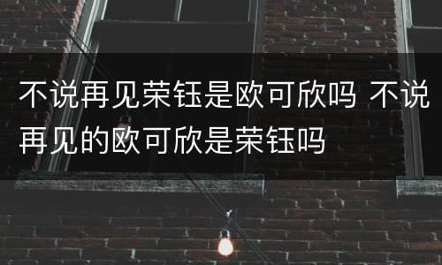 不说再见荣钰是欧可欣吗 不说再见的欧可欣是荣钰吗