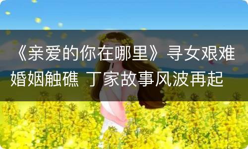《亲爱的你在哪里》寻女艰难婚姻触礁 丁家故事风波再起