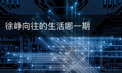 徐峥向往的生活哪一期