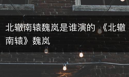 北辙南辕魏岚是谁演的 《北辙南辕》魏岚