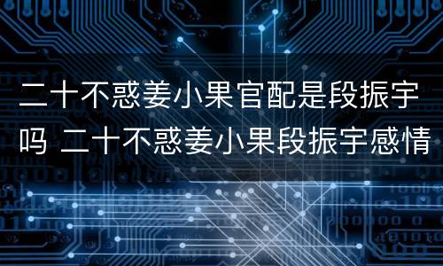 二十不惑姜小果官配是段振宇吗 二十不惑姜小果段振宇感情