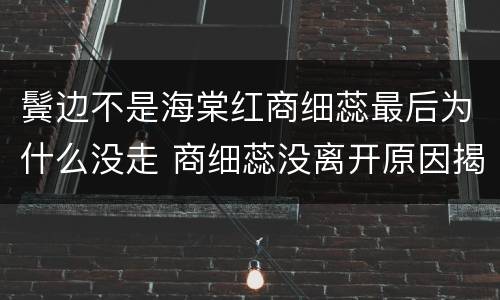 鬓边不是海棠红商细蕊最后为什么没走 商细蕊没离开原因揭秘