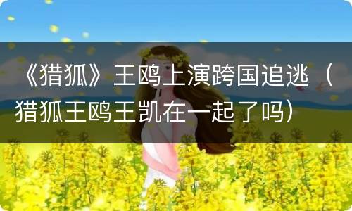 《猎狐》王鸥上演跨国追逃（猎狐王鸥王凯在一起了吗）