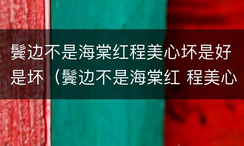 鬓边不是海棠红程美心坏是好是坏（鬓边不是海棠红 程美心）
