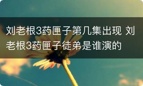 刘老根3药匣子第几集出现 刘老根3药匣子徒弟是谁演的