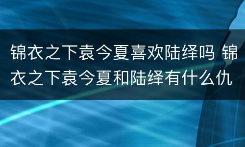 锦衣之下袁今夏喜欢陆绎吗 锦衣之下袁今夏和陆绎有什么仇