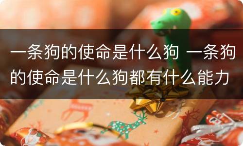 一条狗的使命是什么狗 一条狗的使命是什么狗都有什么能力