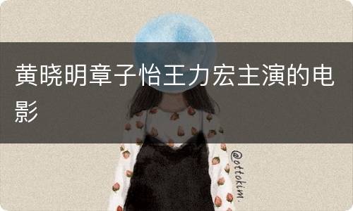 黄晓明章子怡王力宏主演的电影