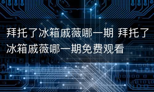 拜托了冰箱戚薇哪一期 拜托了冰箱戚薇哪一期免费观看