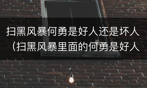 扫黑风暴何勇是好人还是坏人（扫黑风暴里面的何勇是好人还是坏人）