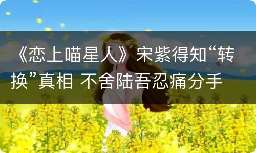 《恋上喵星人》宋紫得知“转换”真相 不舍陆吾忍痛分手