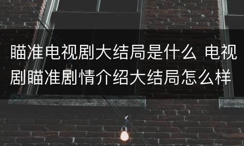 瞄准电视剧大结局是什么 电视剧瞄准剧情介绍大结局怎么样