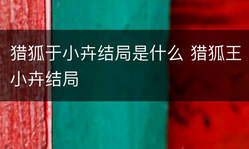 猎狐于小卉结局是什么 猎狐王小卉结局