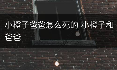 小橙子爸爸怎么死的 小橙子和爸爸