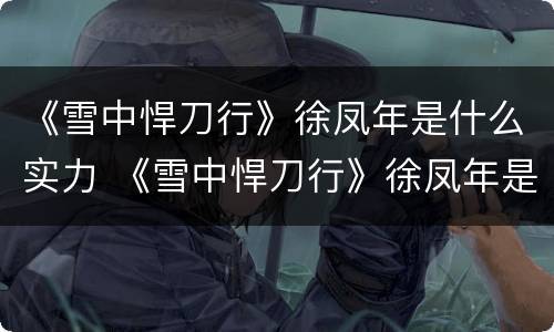 《雪中悍刀行》徐凤年是什么实力 《雪中悍刀行》徐凤年是什么实力的人