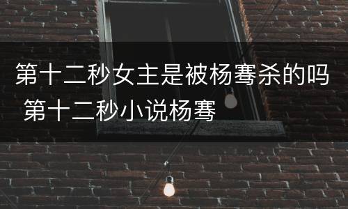 第十二秒女主是被杨骞杀的吗 第十二秒小说杨骞