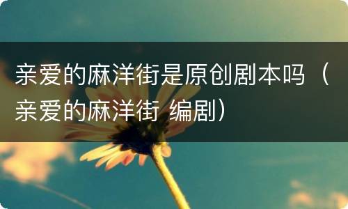 亲爱的麻洋街是原创剧本吗（亲爱的麻洋街 编剧）