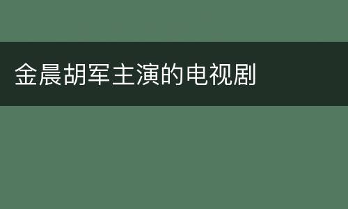 金晨胡军主演的电视剧