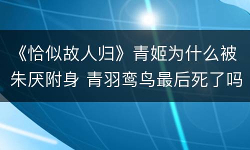 《恰似故人归》青姬为什么被朱厌附身 青羽鸾鸟最后死了吗