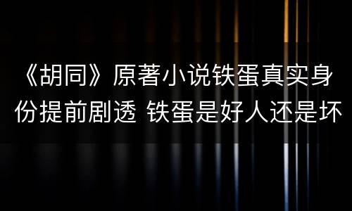 《胡同》原著小说铁蛋真实身份提前剧透 铁蛋是好人还是坏人