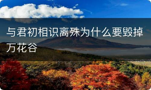 与君初相识离殊为什么要毁掉万花谷
