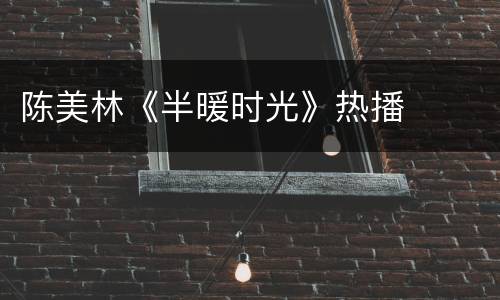 陈美林《半暖时光》热播