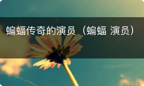 蝙蝠传奇的演员（蝙蝠 演员）