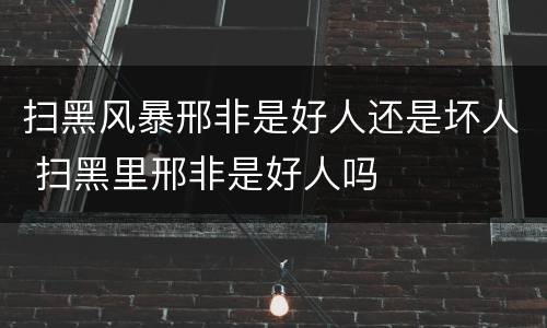扫黑风暴邢非是好人还是坏人 扫黑里邢非是好人吗