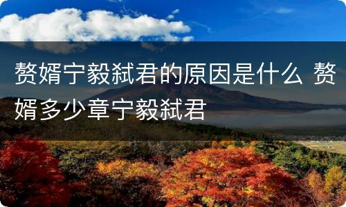 赘婿宁毅弑君的原因是什么 赘婿多少章宁毅弑君
