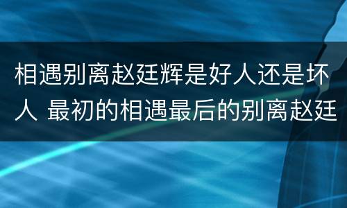 相遇别离赵廷辉是好人还是坏人 最初的相遇最后的别离赵廷辉是好人吗