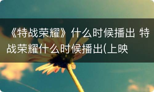 《特战荣耀》什么时候播出 特战荣耀什么时候播出(上映