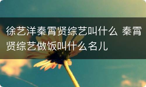 徐艺洋秦霄贤综艺叫什么 秦霄贤综艺做饭叫什么名儿