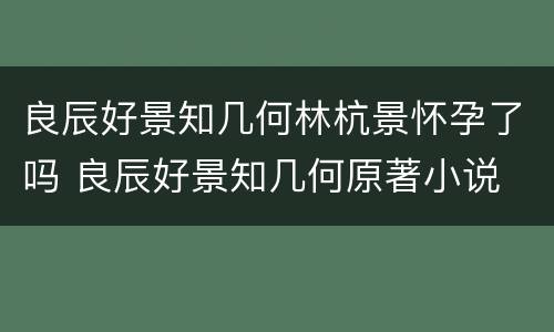 良辰好景知几何林杭景怀孕了吗 良辰好景知几何原著小说