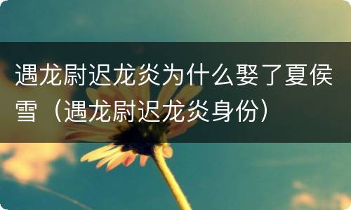 遇龙尉迟龙炎为什么娶了夏侯雪（遇龙尉迟龙炎身份）