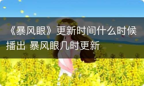 《暴风眼》更新时间什么时候播出 暴风眼几时更新