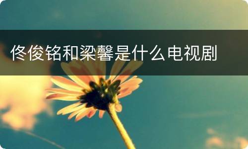 佟俊铭和梁馨是什么电视剧