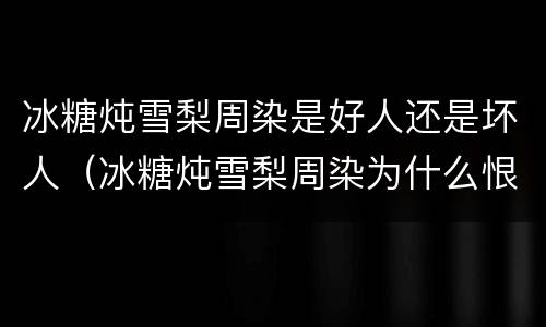 冰糖炖雪梨周染是好人还是坏人（冰糖炖雪梨周染为什么恨棠雪）