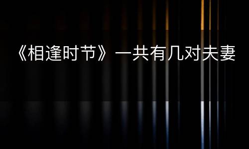 《相逢时节》一共有几对夫妻