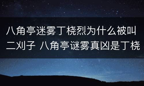 八角亭迷雾丁桡烈为什么被叫二刈子 八角亭谜雾真凶是丁桡烈
