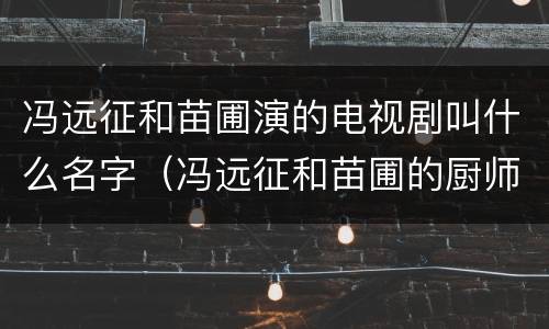 冯远征和苗圃演的电视剧叫什么名字（冯远征和苗圃的厨师电视剧是什么）
