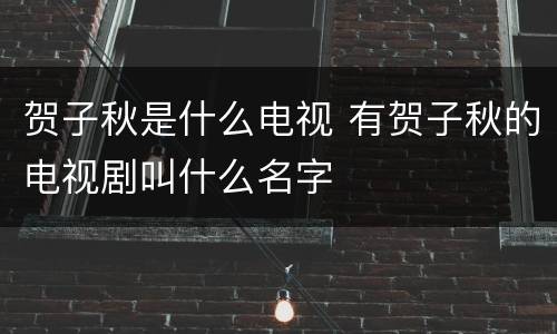 贺子秋是什么电视 有贺子秋的电视剧叫什么名字