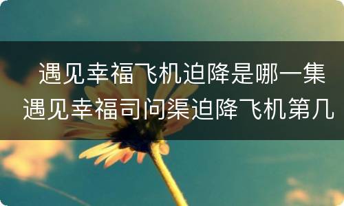 ​遇见幸福飞机迫降是哪一集 遇见幸福司问渠迫降飞机第几集