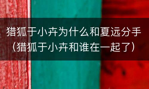 猎狐于小卉为什么和夏远分手（猎狐于小卉和谁在一起了）