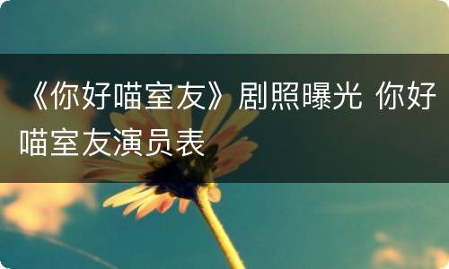 《你好喵室友》剧照曝光 你好喵室友演员表