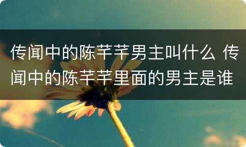 传闻中的陈芊芊男主叫什么 传闻中的陈芊芊里面的男主是谁