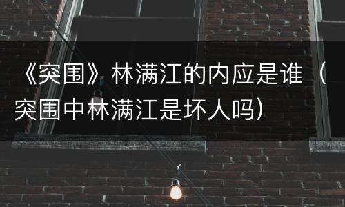 《突围》林满江的内应是谁（突围中林满江是坏人吗）